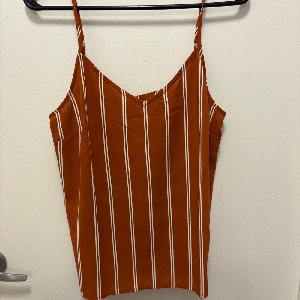 41 Hawthorn Rust and White Striped Camisole